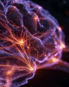 neuroplasticity and neurons 3