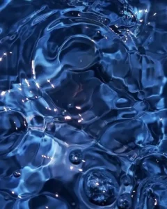 meditation mbsr science