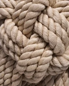 meditation mbsr science 3